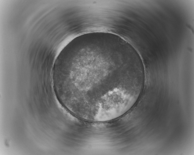 X0000103951389200810171828