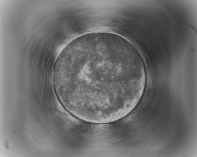 X0000103951390200810171828