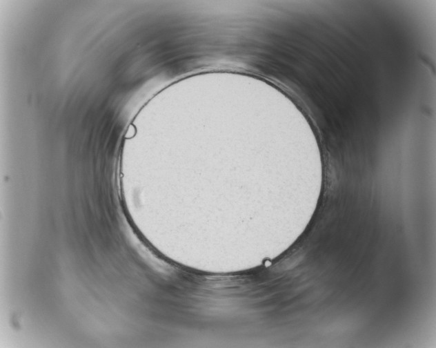 X0000103951391200810171828