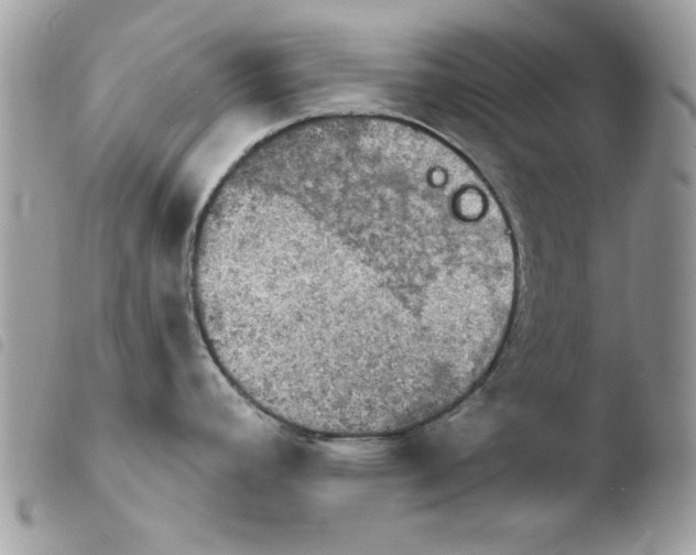 X0000103951392200810171828