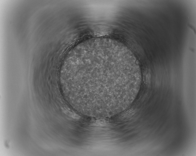 X0000103951393200810171827