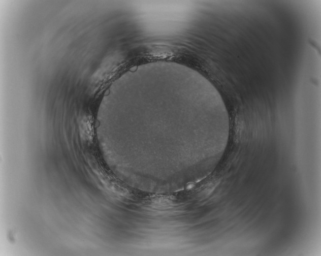 X0000103951394200810171827