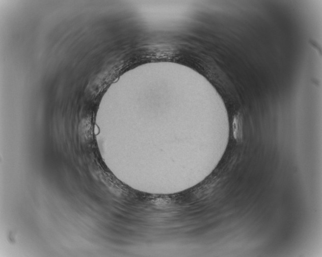 X0000103951395200810171827
