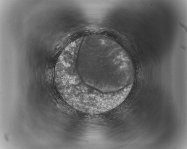 X0000103951397200810171827