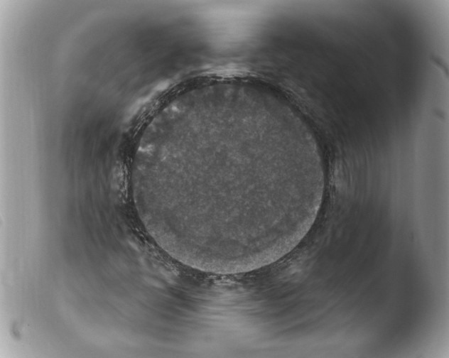 X0000103951398200810171827