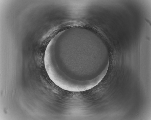 X0000103951399200810171827