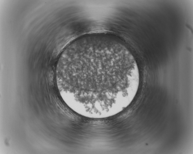 X0000103951401200810171827