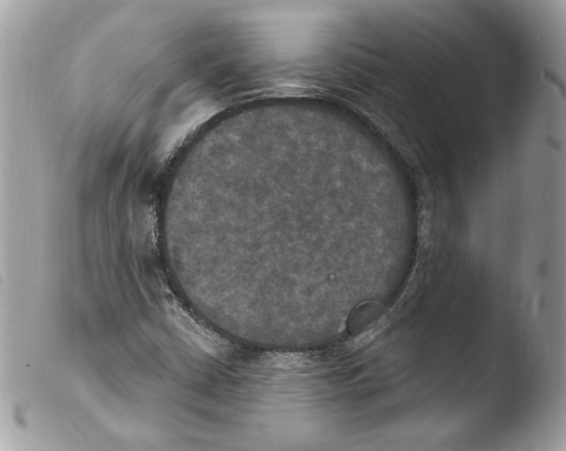 X0000103951402200810171827
