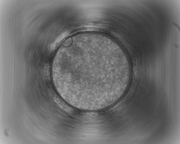 X0000103951403200810171827