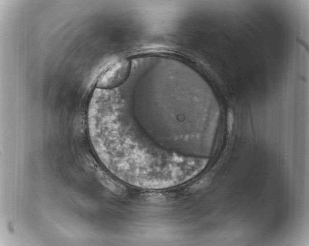 X0000103951405200810171827