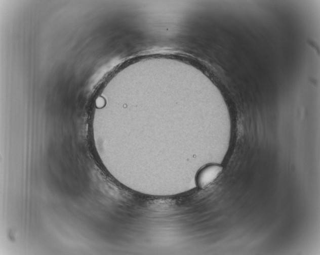 X0000103951406200810171827