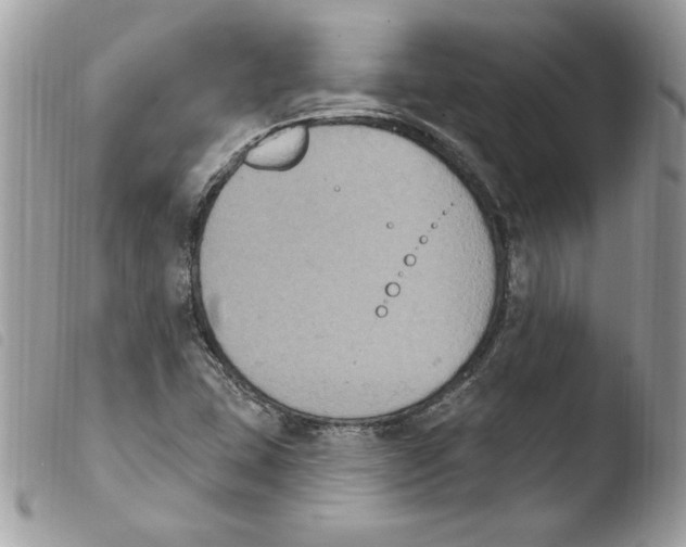 X0000103951407200810171827