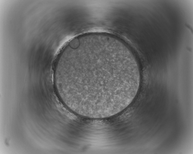 X0000103951408200810171827