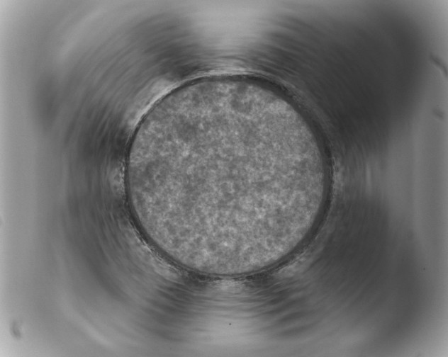 X0000103951409200810171827