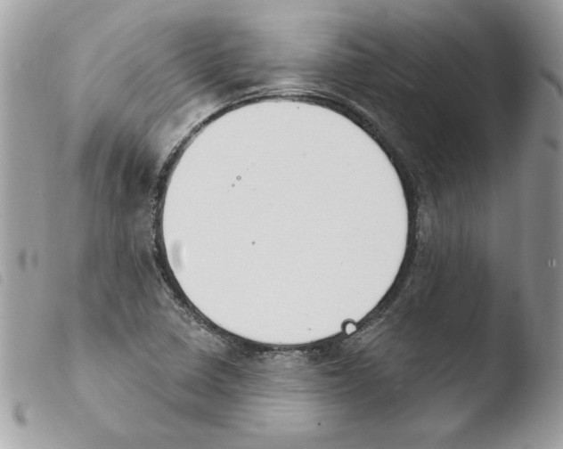 X0000103951410200810171827