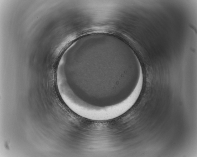 X0000103951411200810171827