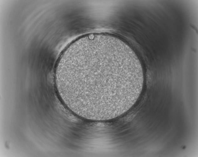 X0000103951412200810171827