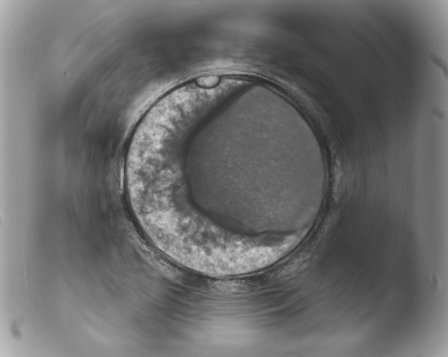 X0000103951413200810171827
