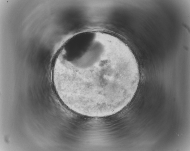 X0000103951414200810171827