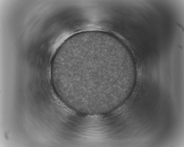 X0000103951415200810171827