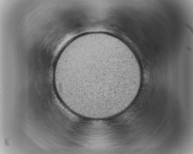 X0000103951416200810171827