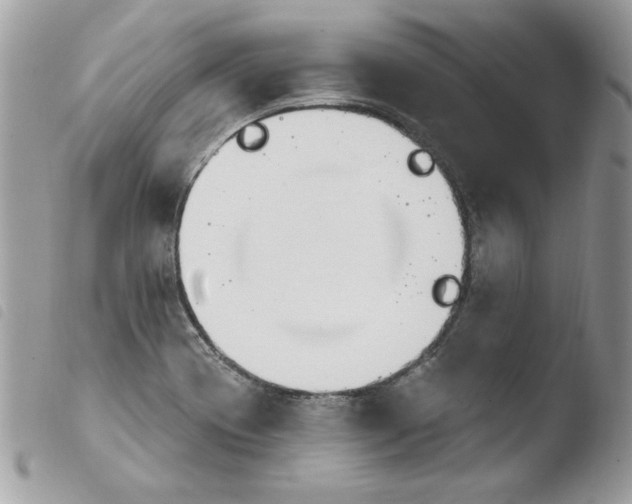 X0000103951417200810171827
