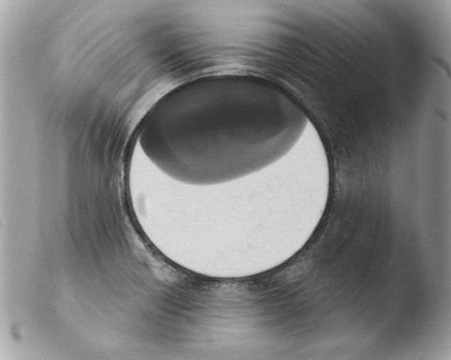 X0000103951418200810171827
