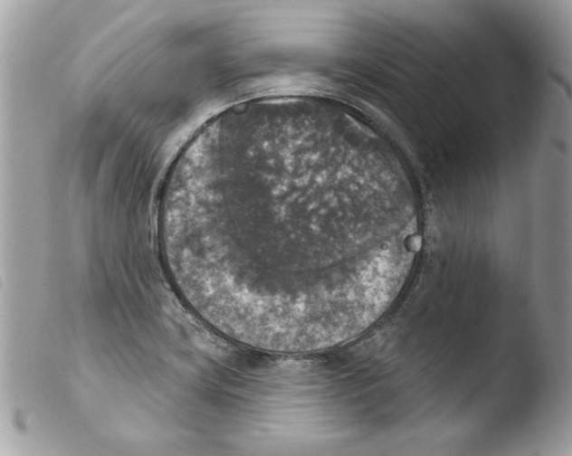 X0000103951419200810171827