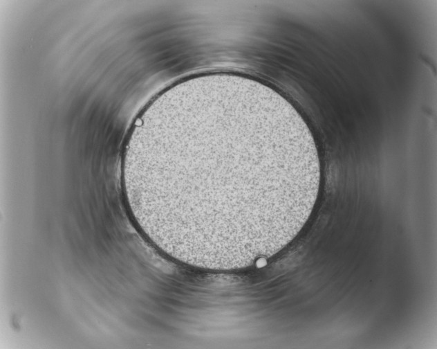 X0000103951420200810171827