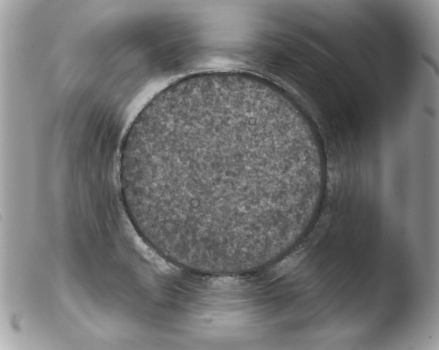 X0000103951421200810171827