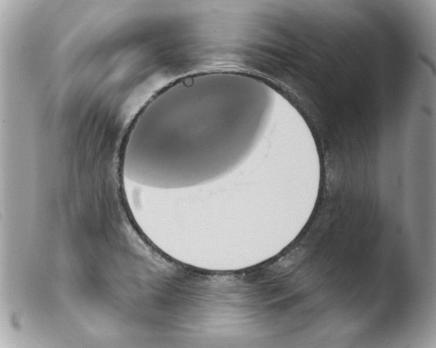 X0000103951422200810171827