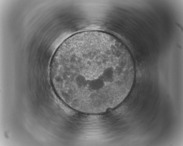 X0000103951423200810171827