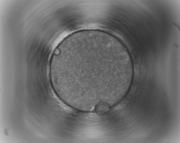 X0000103951424200810171827