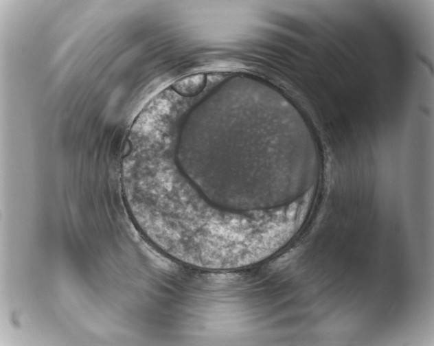 X0000103951425200810171827