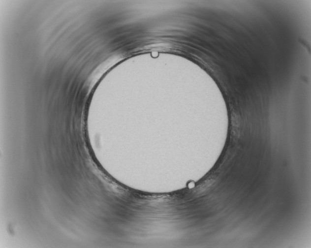 X0000103951426200810171827