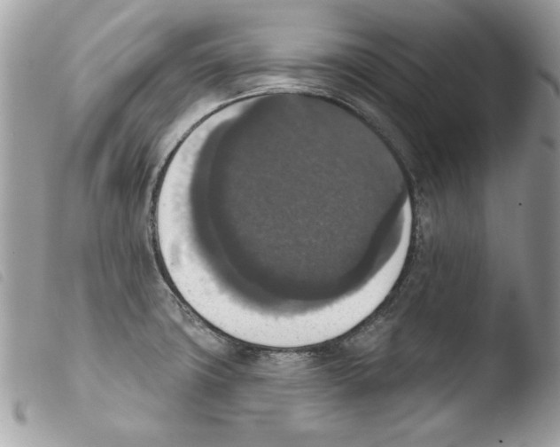 X0000103951427200810171827