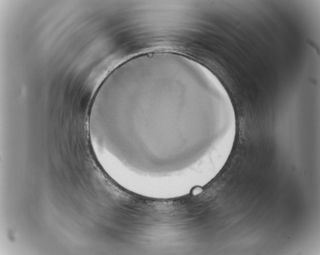X0000103951428200810171827