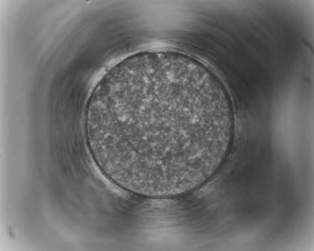 X0000103951429200810171827