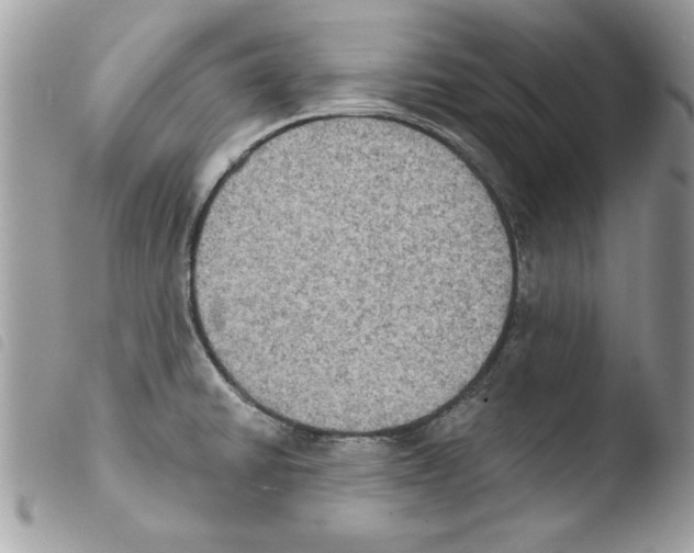 X0000103951430200810171827