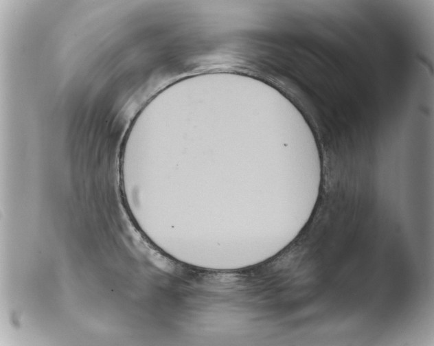 X0000103951431200810171827