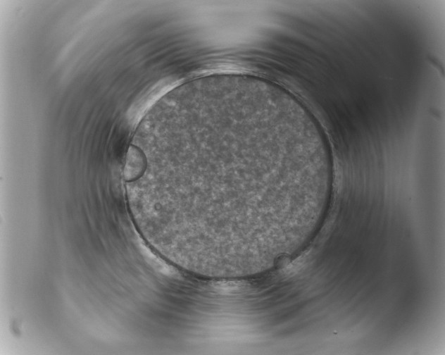 X0000103951433200810171827