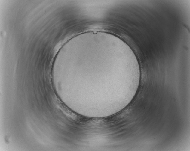 X0000103951435200810171827