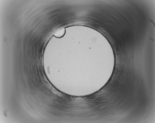 X0000103951436200810171827