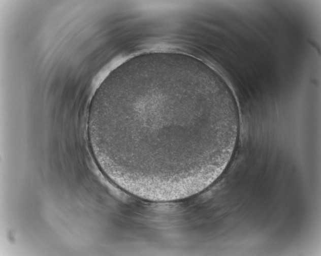 X0000103951437200810171827