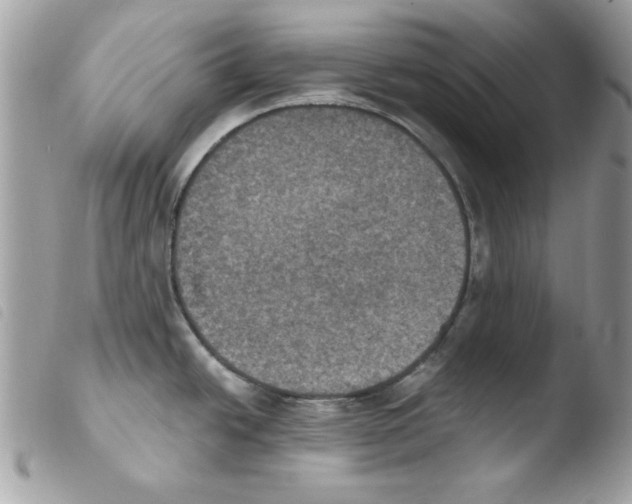 X0000103951438200810171828