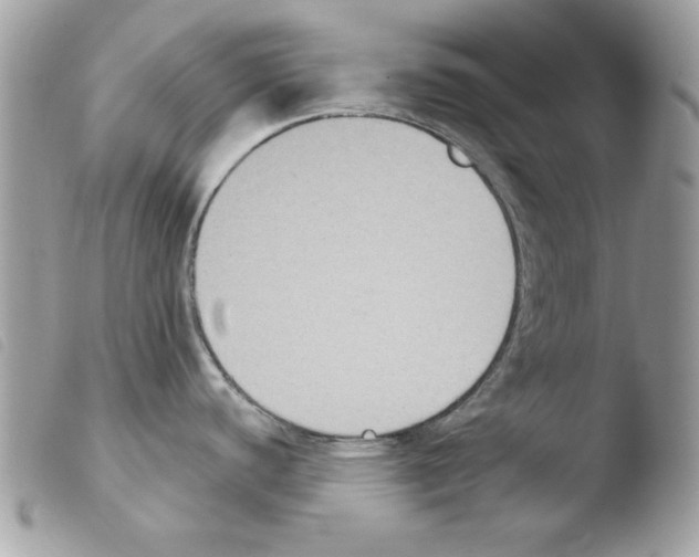 X0000103951440200810171828