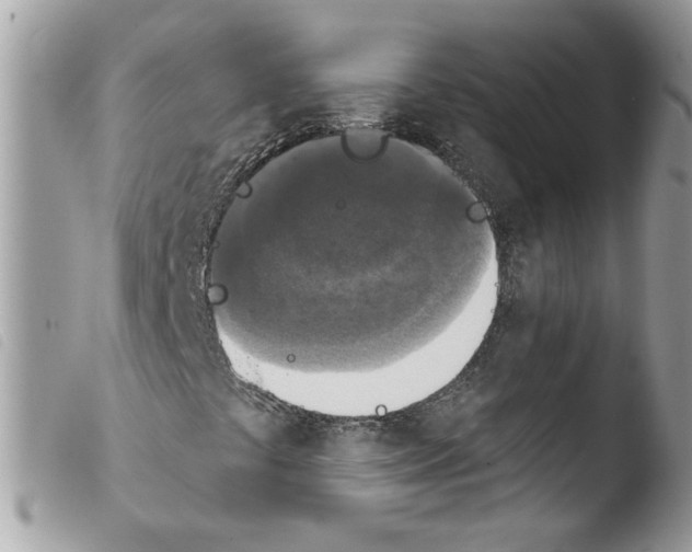 X0000103951441200810171827
