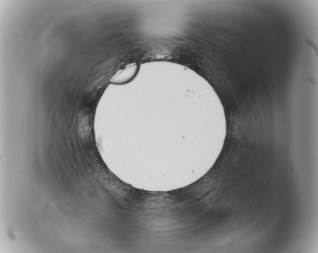 X0000103951442200810171827