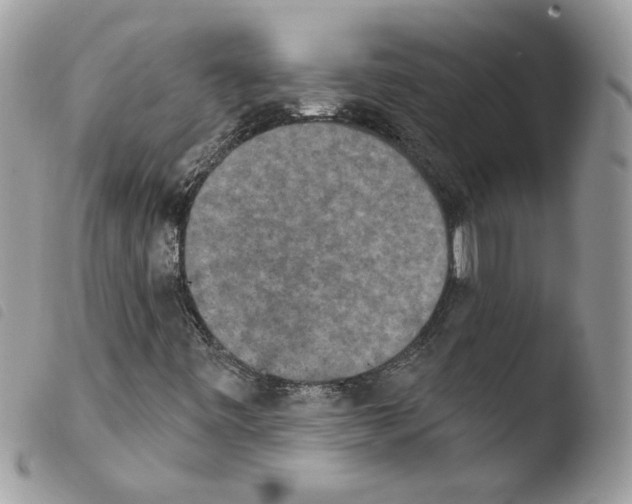 X0000103951443200810171827