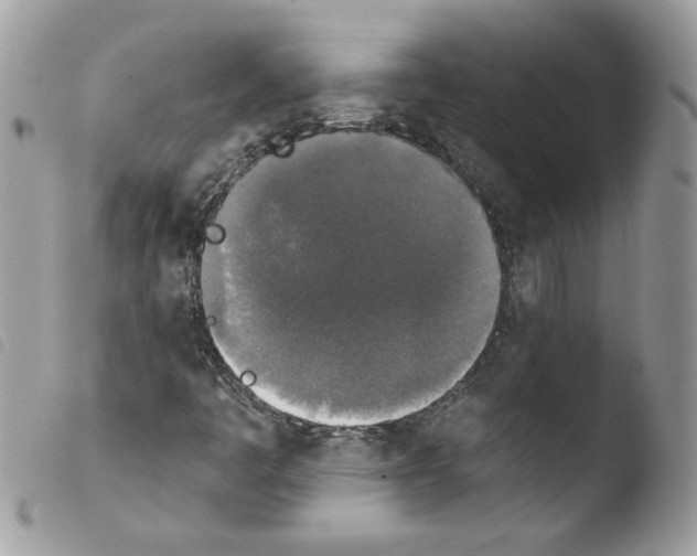 X0000103951445200810171827